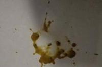 治狗狗拉稀最快的土办法？ 小狗拉稀最快的土办法