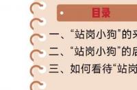 狗狗能不能吃面包？ 面包狗