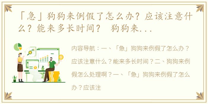 「急」狗狗来例假了怎么办？应该注意什么？能来多长时间？ 狗狗来例假怎么处理