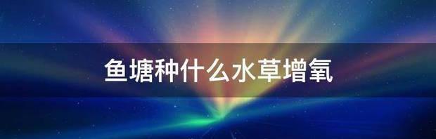 t013dcc0900ef59b209.jpg