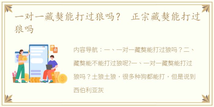 一对一藏獒能打过狼吗？ 正宗藏獒能打过狼吗