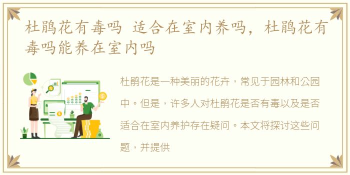 杜鹃花有毒吗 适合在室内养吗，杜鹃花有毒吗能养在室内吗