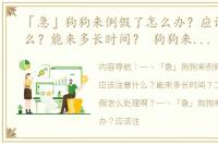 「急」狗狗来例假了怎么办？应该注意什么？能来多长时间？ 狗狗来例假怎么处理
