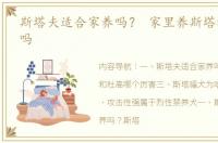 斯塔夫适合家养吗？ 家里养斯塔福犬危险吗