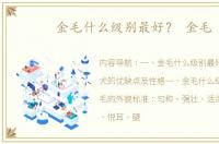 金毛什么级别最好？ 金毛