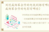 刘恺威杨幂合作的电视剧都有哪些（刘恺威杨幂合作的电影有哪些）