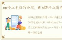 xp停止更新的介绍，WinXP停止服务怎么办
