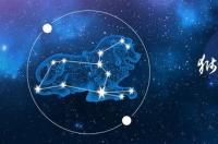 什么星座适合天蝎座男？ 天蝎座男配什么星座