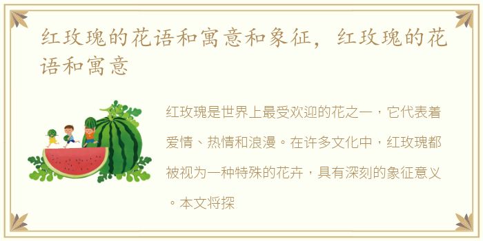 红玫瑰的花语和寓意和象征，红玫瑰的花语和寓意