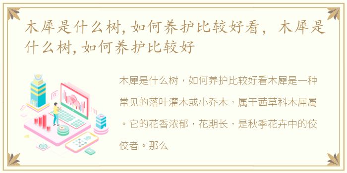 木犀是什么树,如何养护比较好看，木犀是什么树,如何养护比较好
