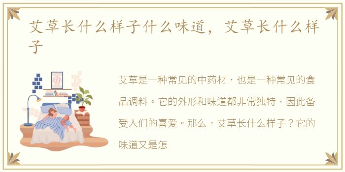 艾草长什么样子什么味道，艾草长什么样子