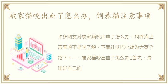 被家猫咬出血了怎么办，饲养猫注意事项