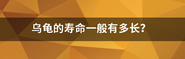 t016cd91fe1f8504839.png