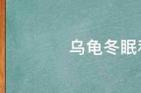 小乌龟冬眠是不是全身硬硬的，感觉死的一样……求大神帮助？ 乌龟冬眠和死了区别