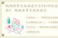 鹦鹉的常见疾病是什么?如何防治鹦鹉常见病？ 鹦鹉鱼常见病及症状