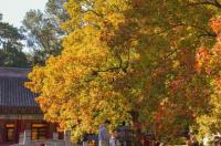 什么代表香山公园？ 香山公园