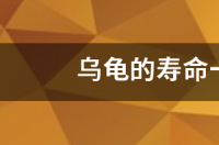 乌龟的寿命是多长？ 乌龟寿命多长