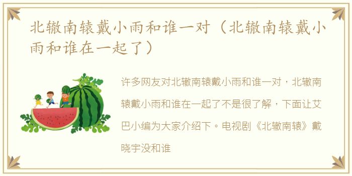 北辙南辕戴小雨和谁一对（北辙南辕戴小雨和谁在一起了）