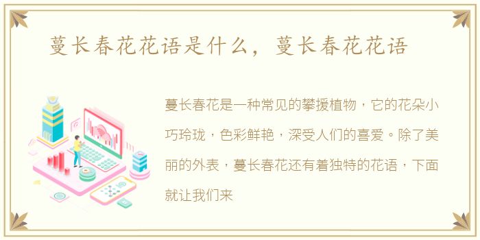 蔓长春花花语是什么，蔓长春花花语