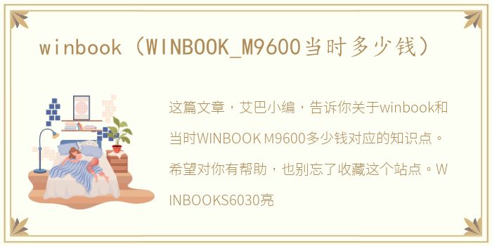 winbook（WINBOOK_M9600当时多少钱）