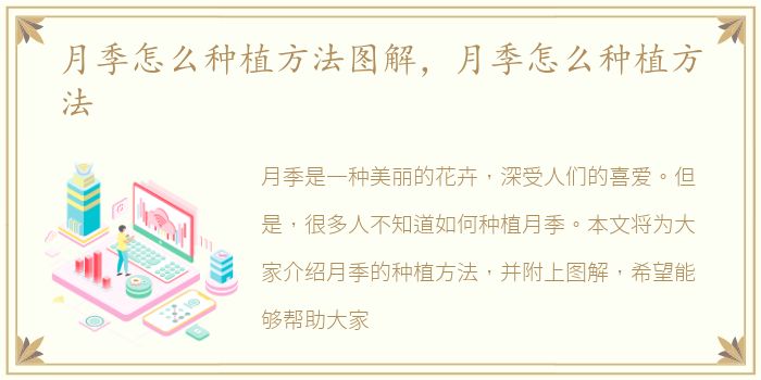 月季怎么种植方法图解，月季怎么种植方法