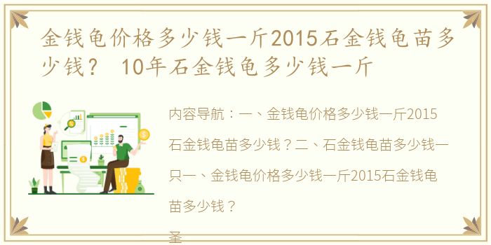 金钱龟价格多少钱一斤2015石金钱龟苗多少钱？ 10年石金钱龟多少钱一斤