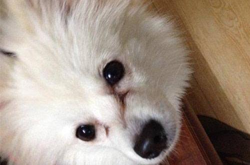 0293755f1be04a078d8991c1217b5a84~tplv-tt-origin.image?_iz=30575&from=search_content.wenda_api&x-expires=1686153086&x-signature=5pVDlffb5p9lW6LZwdwQvmCDQnI%3D