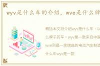 wyv是什么车的介绍，wve是什么牌子的车