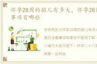 怀孕28周的胎儿有多大，怀孕28周的注意事项有哪些