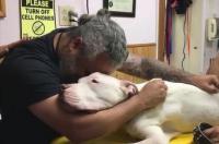 入殓前后忌讳猫、狗接近尸体,认为会引起死者骤然挺立或成僵尸啥意思？ 狗死后最忌讳的事