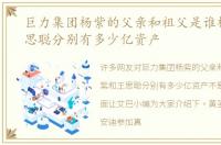 巨力集团杨紫的父亲和祖父是谁杨紫和王思聪分别有多少亿资产