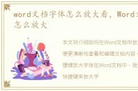 word文档字体怎么放大看，Word文档字体怎么放大