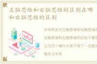 左脑思维和右脑思维的区别在哪 左脑思维和右脑思维的区别