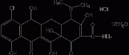 t019971d5f05b5ed82e.gif