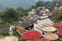 婺源篁岭下雨能去吗 婺源篁岭旅游攻略