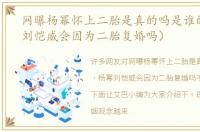 网曝杨幂怀上二胎是真的吗是谁的（杨幂刘恺威会因为二胎复婚吗）