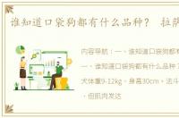 谁知道口袋狗都有什么品种？ 拉萨犬品种
