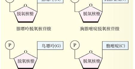6cb39d3aaa4546438419dc48806da1a9~tplv-tt-origin.image?_iz=30575&from=search_content.wenda_api&x-expires=1686250826&x-signature=AwKLjQrpnB8A%2FybKp67IeR8oqdA%3D