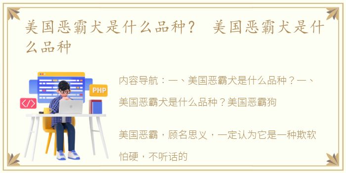 美国恶霸犬是什么品种？ 美国恶霸犬是什么品种