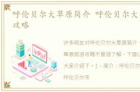 呼伦贝尔大草原简介 呼伦贝尔大草原旅游攻略