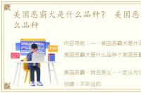 美国恶霸犬是什么品种？ 美国恶霸犬是什么品种