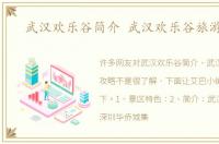 武汉欢乐谷简介 武汉欢乐谷旅游攻略