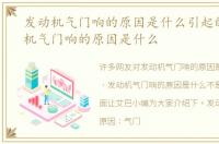 发动机气门响的原因是什么引起的，发动机气门响的原因是什么