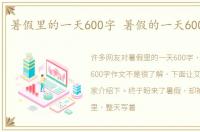 暑假里的一天600字 暑假的一天600字作文
