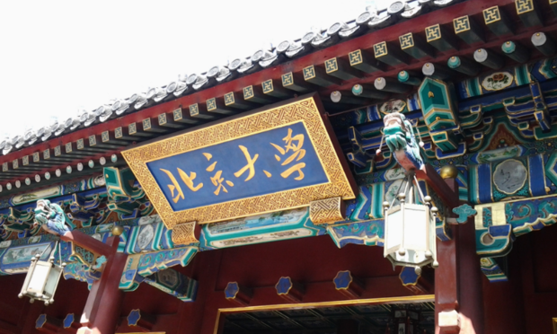 t01198f90a618404057.png