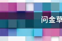 探金草怎么寻金？ 金草
