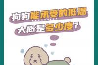 狗狗穿衣服？ 狗狗穿的衣服