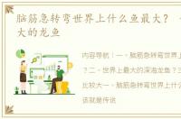 脑筋急转弯世界上什么鱼最大？ 世界上最大的龙鱼