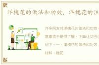 洋槐花的做法和功效，洋槐花的注意事项