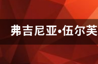 弗吉尼亚.伍尔芙的所有作品？ 弗吉尼亚 伍尔芙